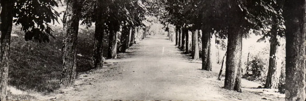 La Louvesc (Ardèche) — Maison St-Régis — L'Allée des Marronniers — Verlag nicht sichtbar - Vorderseite