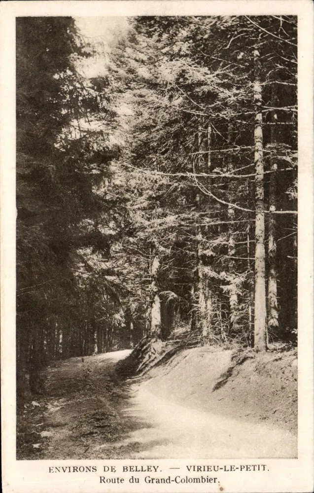 Umgebung von Belley — Route du Grand-Colombier — Librairie Montarbon, Belley - Vorderseite