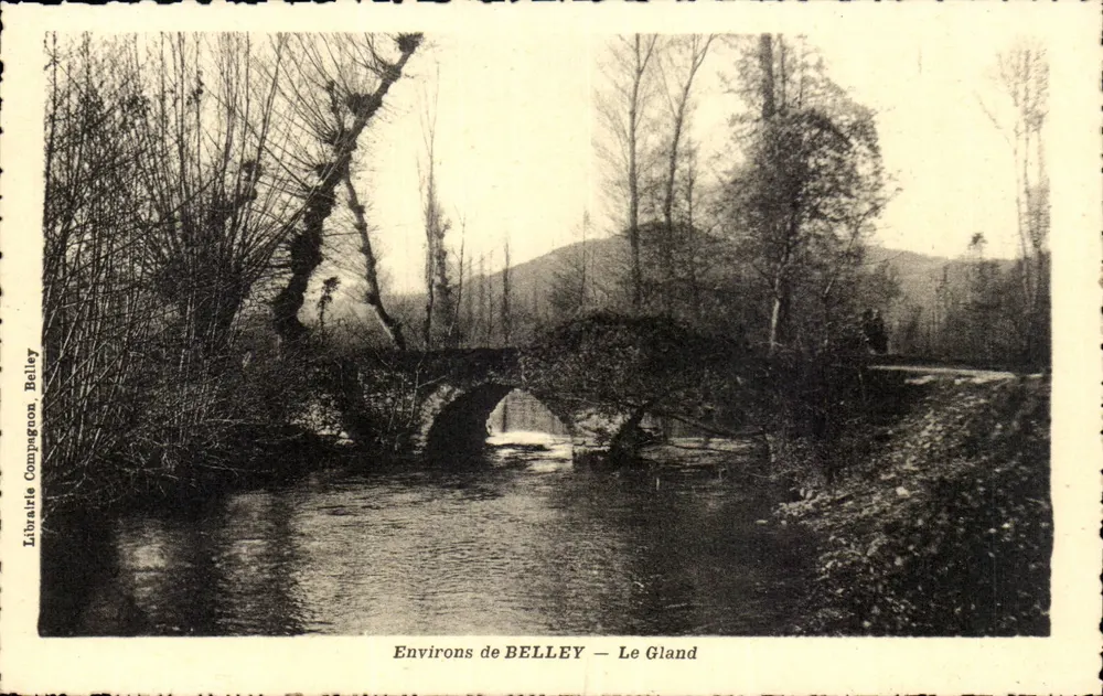 BELLEY के आसपास — Le Gland — Librairie Compagnon Belley - आगे