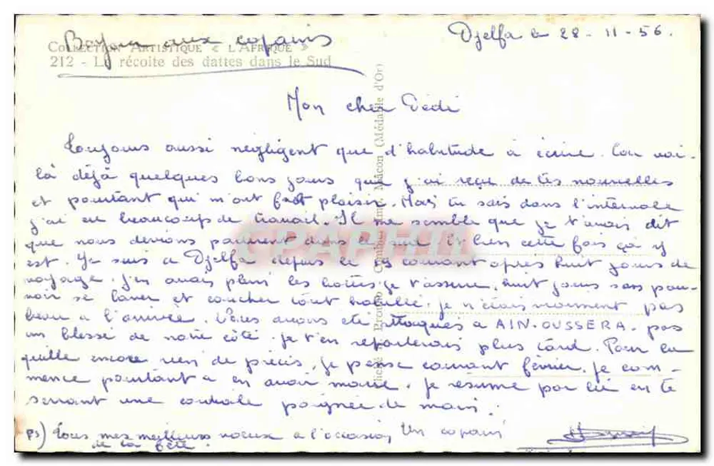 Dattelernte im Süden — künstlerische Sammlung « Afrika » — Verleger Cim, n° 212 - Rückseite