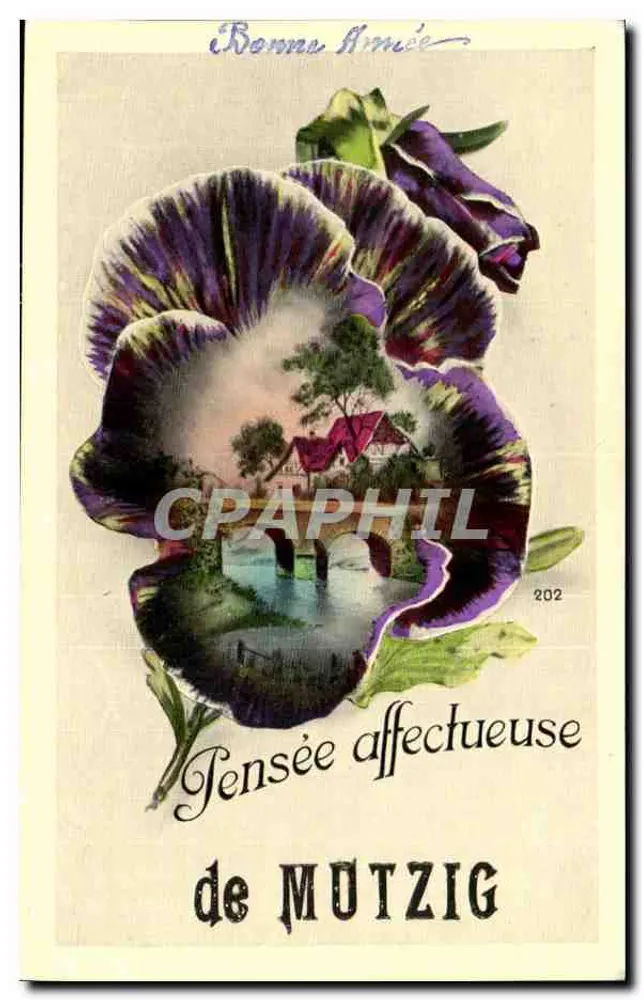 Peixe roxo — paisagem miniatura — de MUTZIG, n°202 - Frente