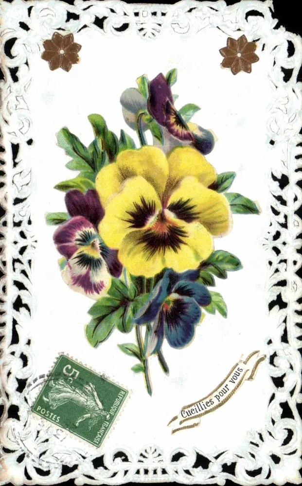 Pansies — Cueillette pour vous — République Française - Frente