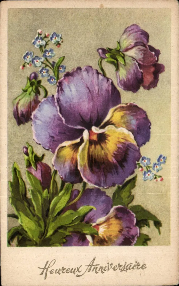 Flores de pensamento e violetas — Feliz Aniversário — Imprimerie P - Frente