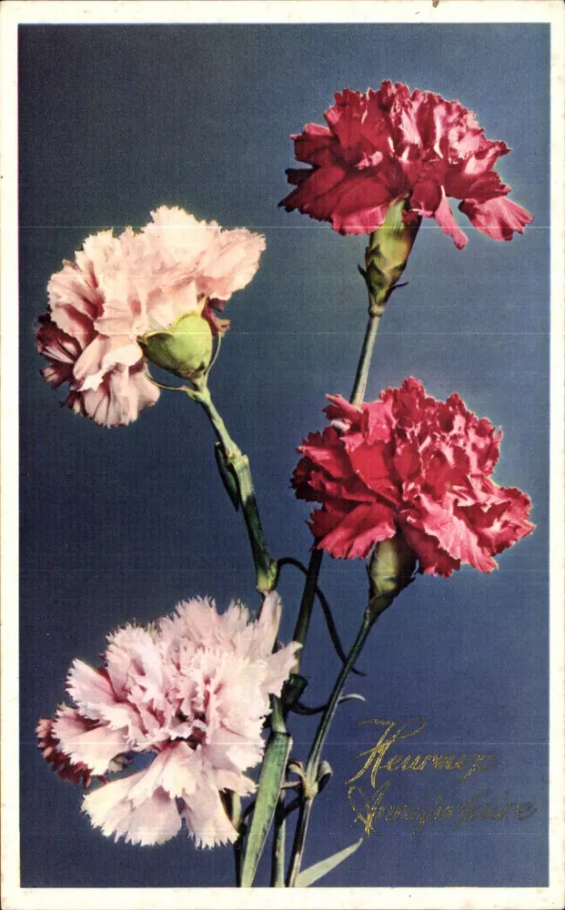 Flores de Margaridinhas — Aniversário — Éditions SUPERLUXE - Frente