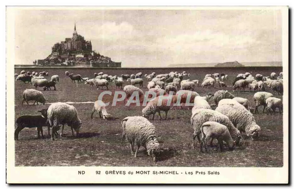Mont-Saint-Michel — Les Prés Salés — C° des Arts Photographiques de Saint-Boulogne - Vorderseite