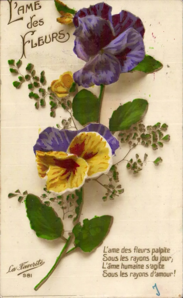 A alma das flores — poema — A Favorita n° 981 - Frente