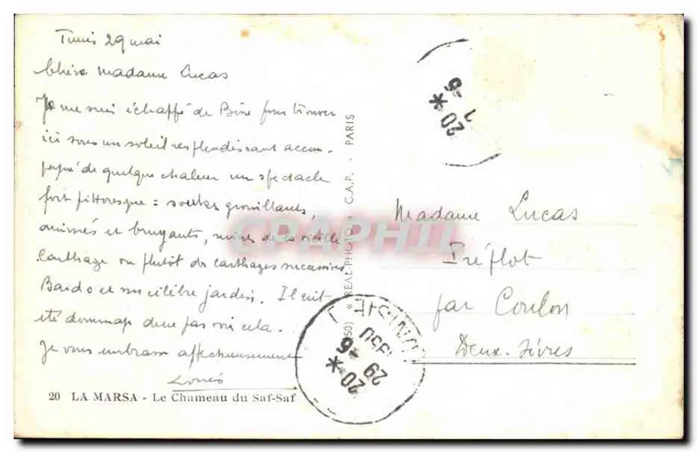 Der Kamel von Saf-Saf — Marsa — C.A.P. n°20 - Rückseite