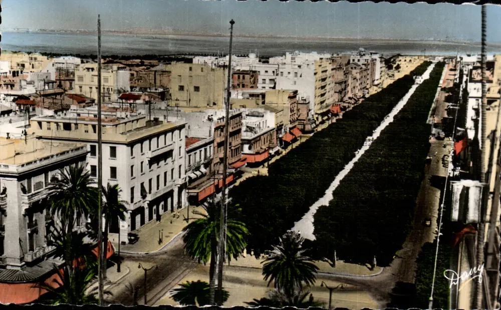Tunis - Ansicht der Avenue Jules-Ferry — Reproduction Inergha, n°78 - Vorderseite