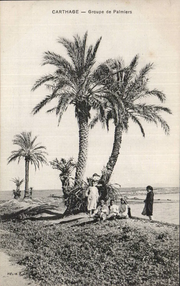 Carthage — Gruppe von Palmen — Hélio Verlag, Paris - Vorderseite