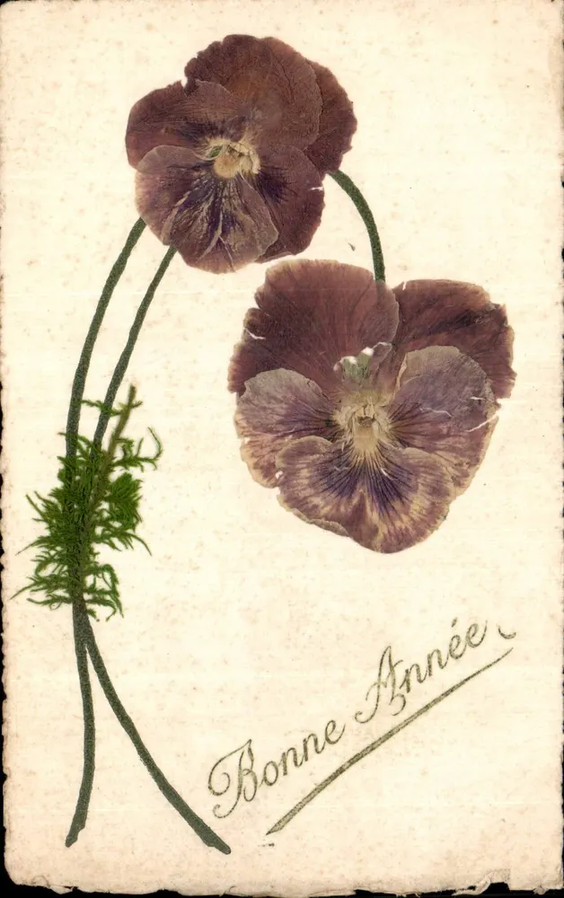 Getrocknete Blumen — Frohe Neujahr — Postkarte - Vorderseite