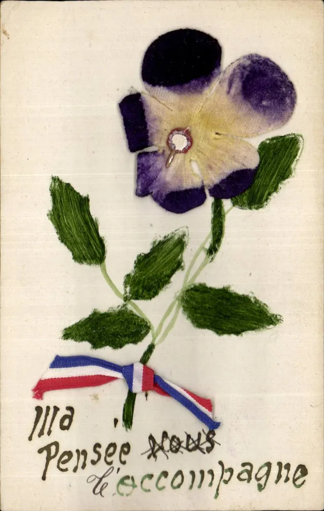 Pensée — fleur avec ruban tricolore — éditeur non visible - Frente