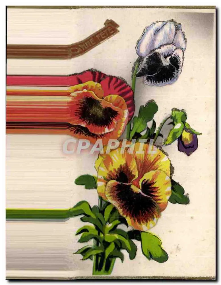 Fleurs de printemps — bouquet de pensées et de pâquerettes — Imprimé en France - Frente