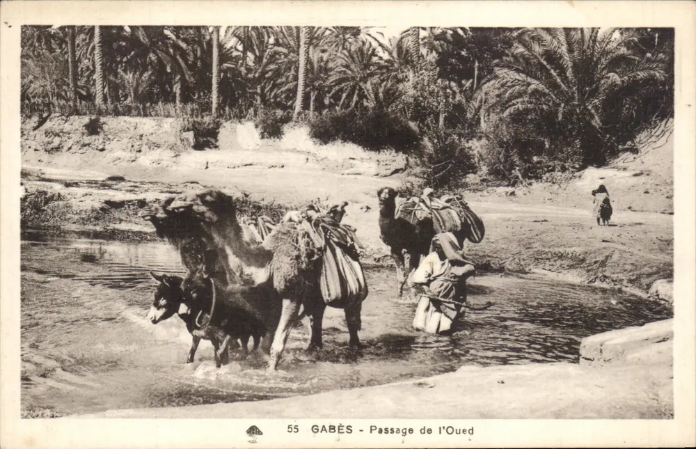 Gabès - Passage des Oued — 55 — Cie des Arts Photomécaniques - Straßburg - Vorderseite