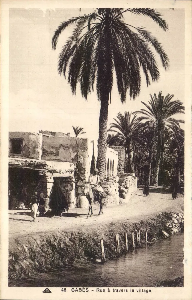 Gabès — Rue à travers le village — éditeur A. R. L. n° 45 - Vorderseite