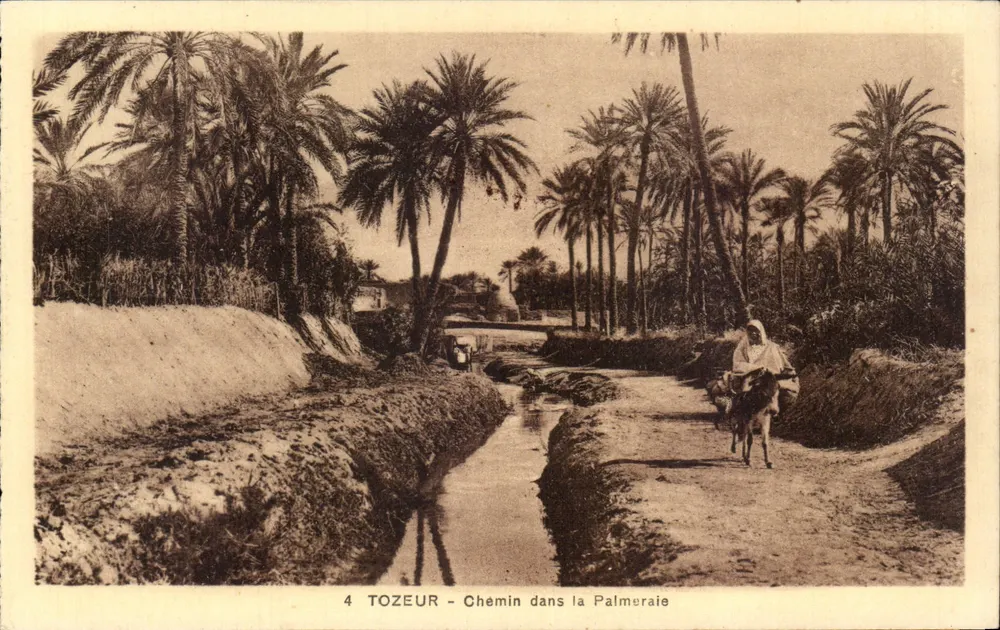 Tozeur — Weg durch die Palmenhain — Edition Maison S. Disegni Gozlan, Tozeur - Vorderseite