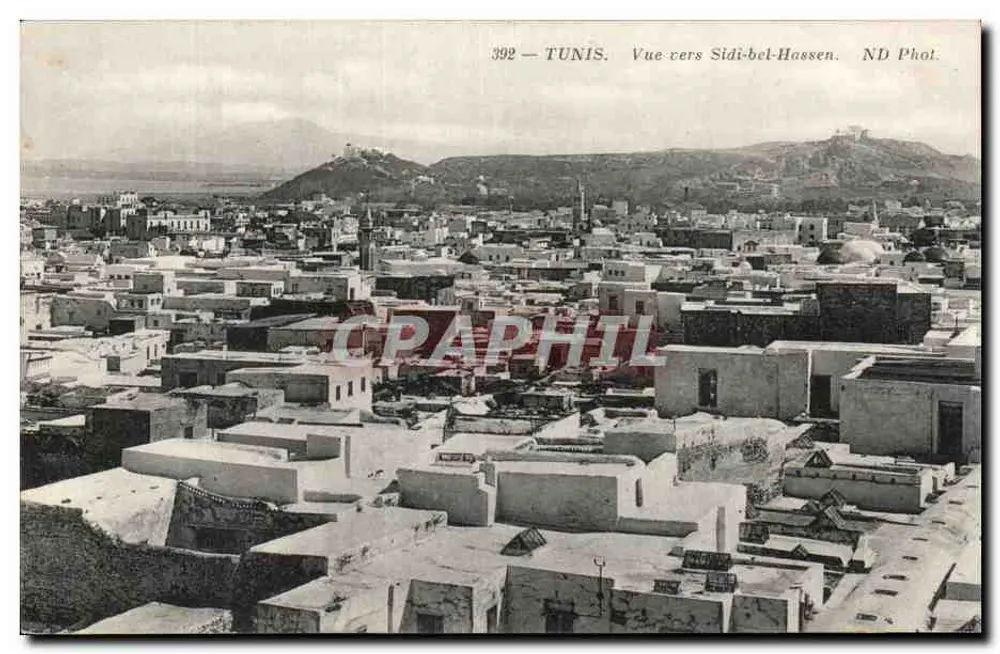 Tunis — Ansicht nach Sidi-bel-Hassen — ND Phot. n°392 - Vorderseite