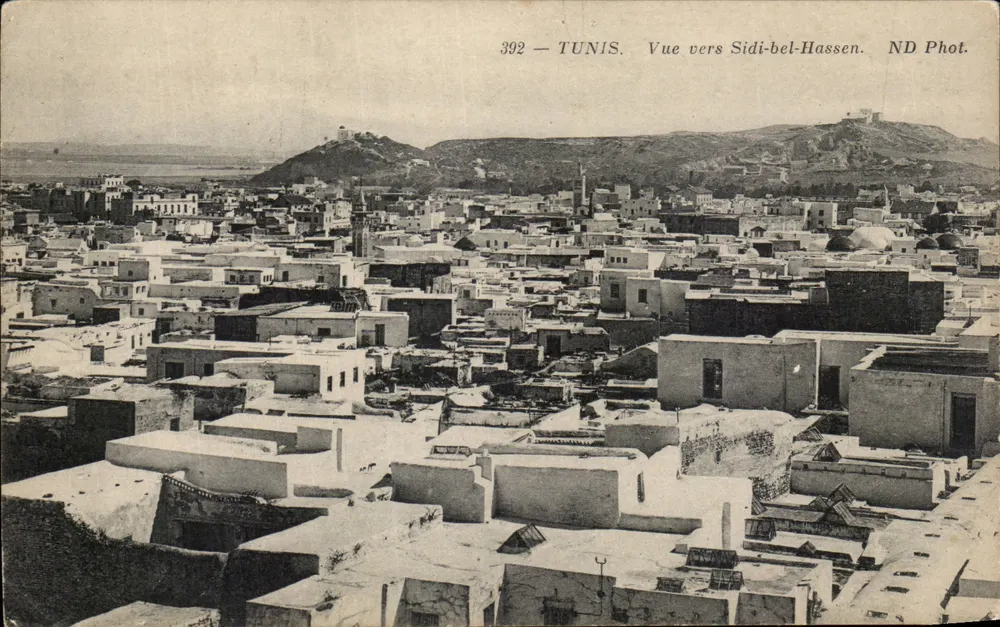 Tunis — Blickrichtung Sidi-bel-Hassen — ND Phot. n° 392 - Vorderseite