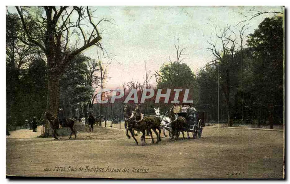Paris, Bois de Boulogne - Avenue des Acacias — A. K. 26 - Vorderseite