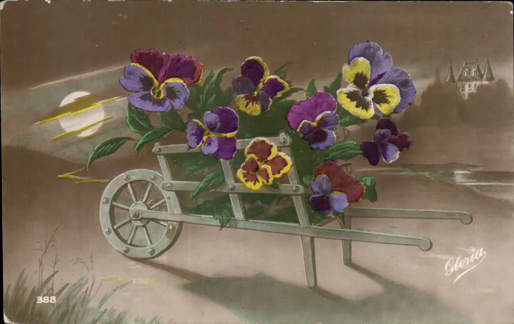 Pansies em um carrinho — editor Gloria, n° 388 - Frente