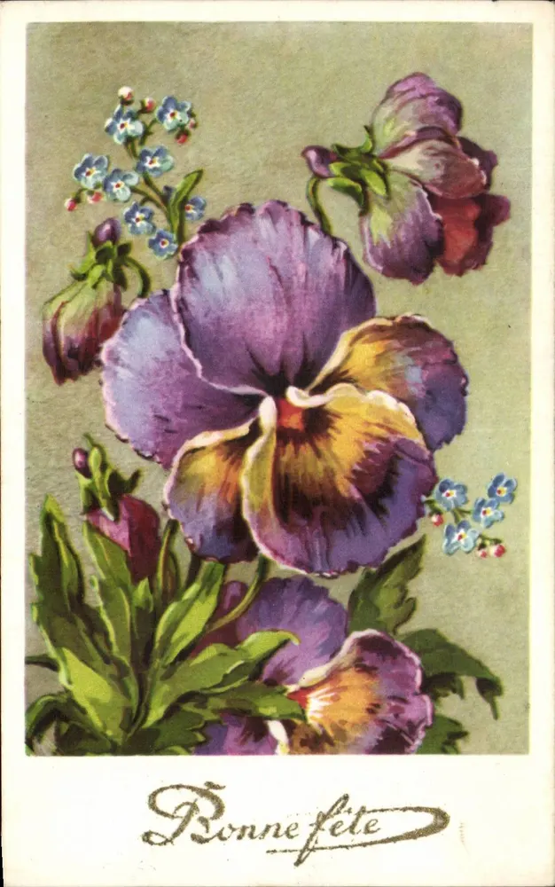 Fleurs de pensée et de pensées — Bonne fête — éditeur S.P. (verso) - Recto