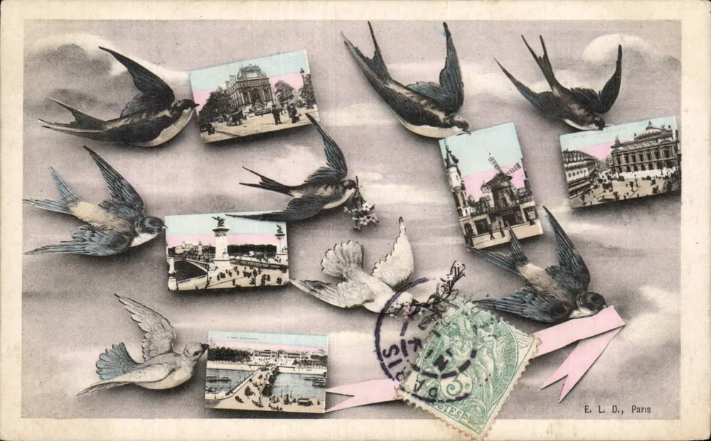 Pássaros carregando cartas postais — E. L. D., Paris - Frente