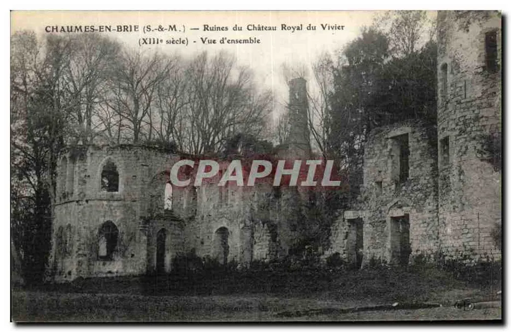 Chaumes-en-Brie — Ruinen des königlichen Schlosses Vivier (13. Jahrhundert) — Überblick - Vorderseite
