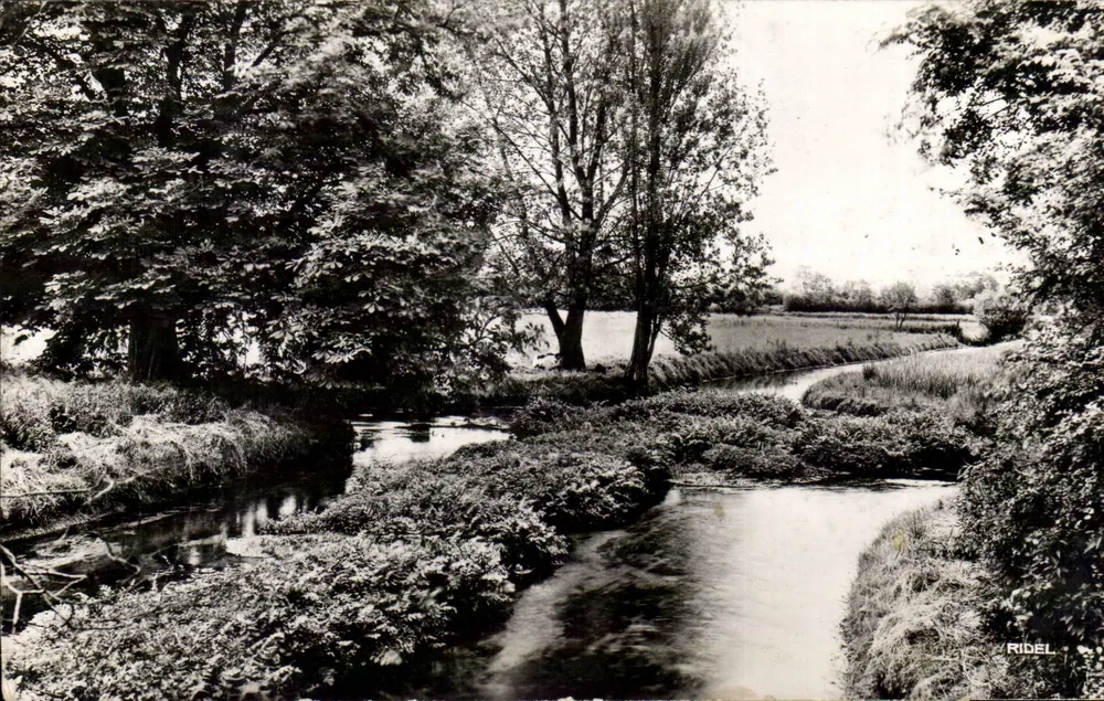 Os Marais de Radicatel — Entorno de Lillebonne (Sul. Inf.) — Ridel Paris - Frente