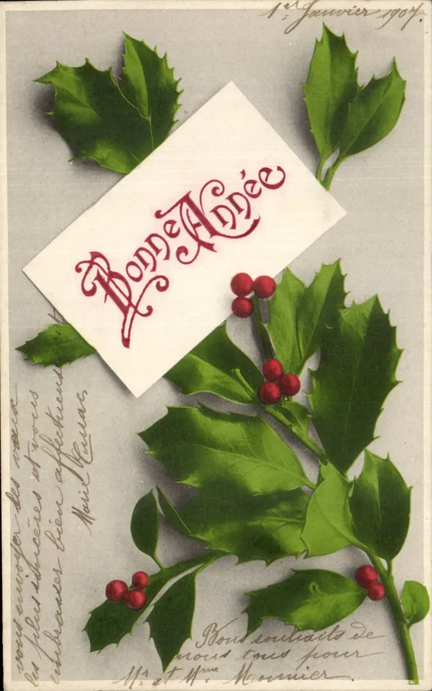 Houx — Neujahrskarte für das Jahr 1904 — Marta Rommel & Cie, Savigny-sur-Orge - Vorderseite