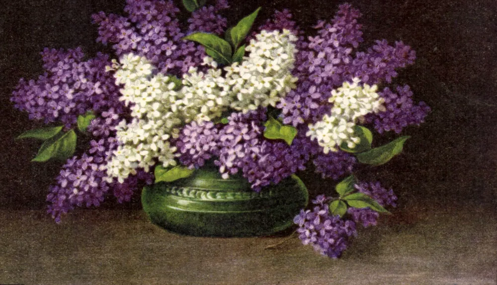Arranjo de lilás — roxo e branco — em um vaso verde — número de série não visível - Frente