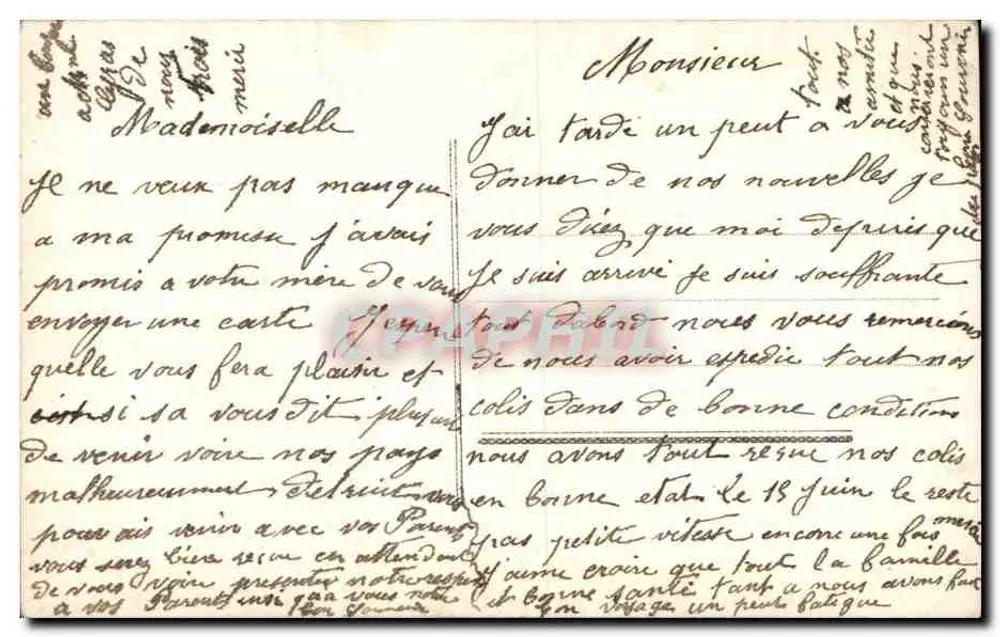 Flores de margaridinhas — carta postal colorida — n°2065 - Verso