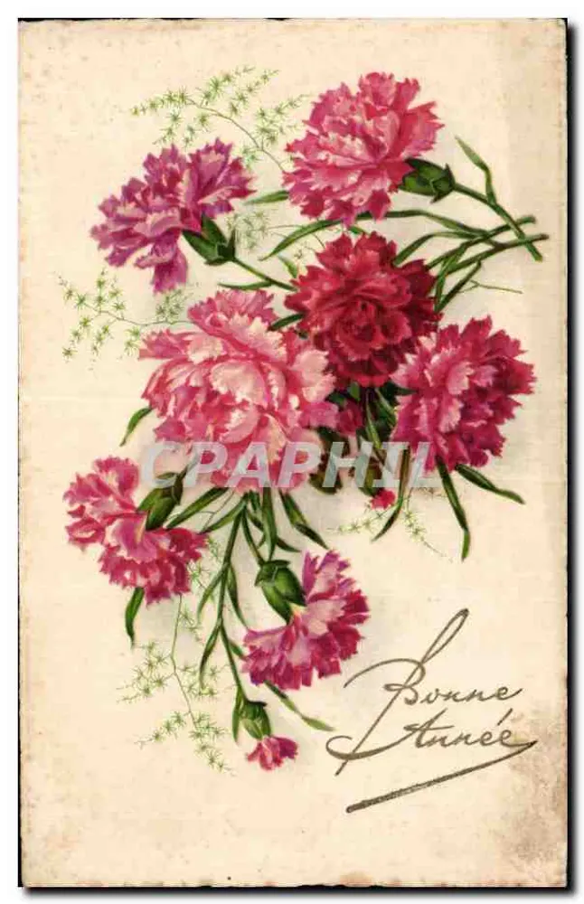 Arranjo de pivoines — Boa Ano — Carta postal - Frente