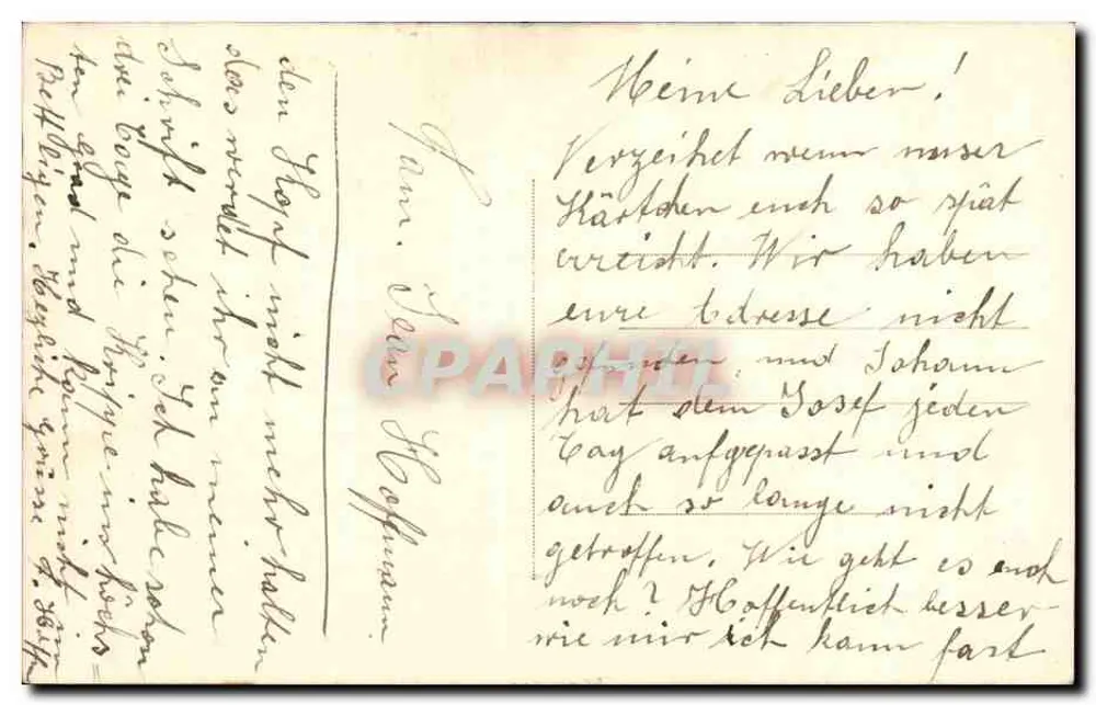 Arranjo de pêssegos e margaridas — Boa Ano — J.P. (editor) n° 1234 - Verso