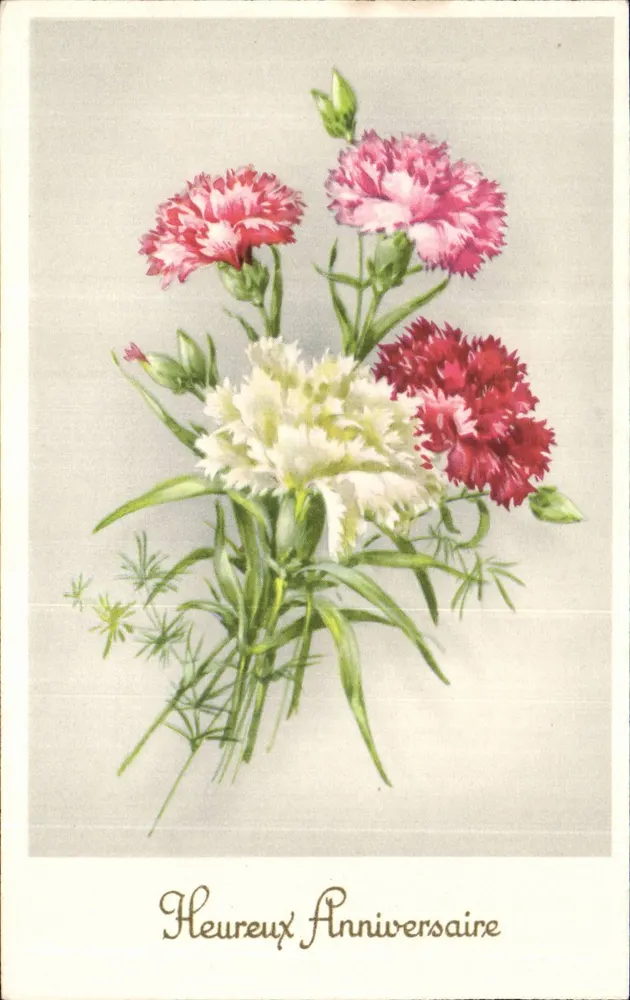 Karnationsbouquet — Frohes Geburtstag — Import 60 - Vorderseite
