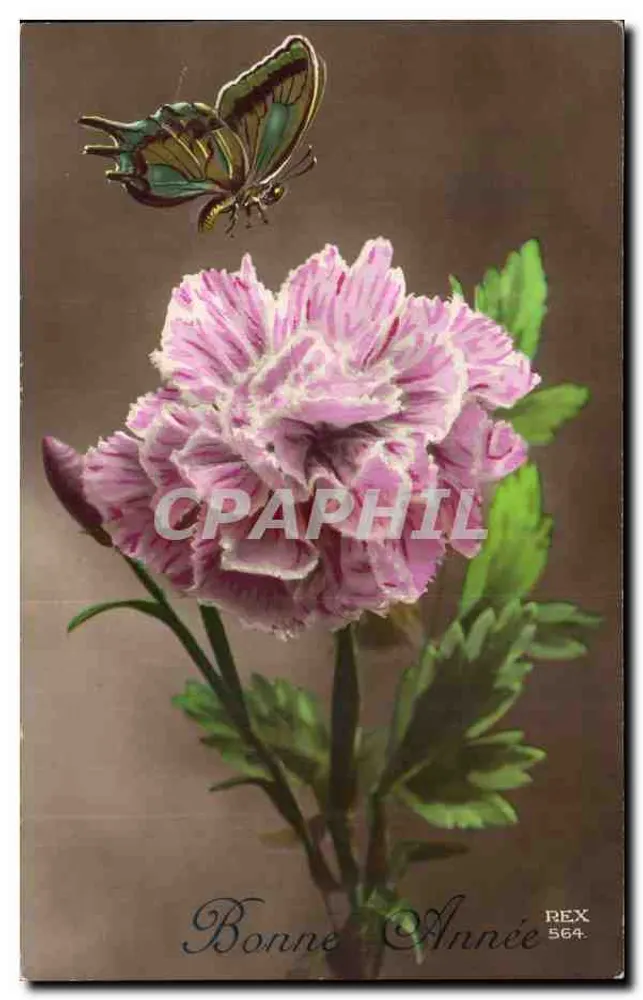Butterfly et fleur — Bonne Année — REX 564 - Recto