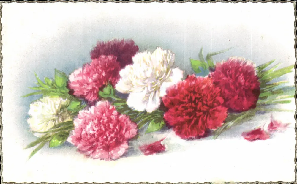 Arranjo de pivoines — cores variadas — R.HAMEL PARIS n°105 - Frente