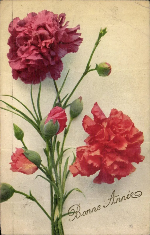 Flores de caranthe — Boa Ano — Imprimerie Illustrée - Frente