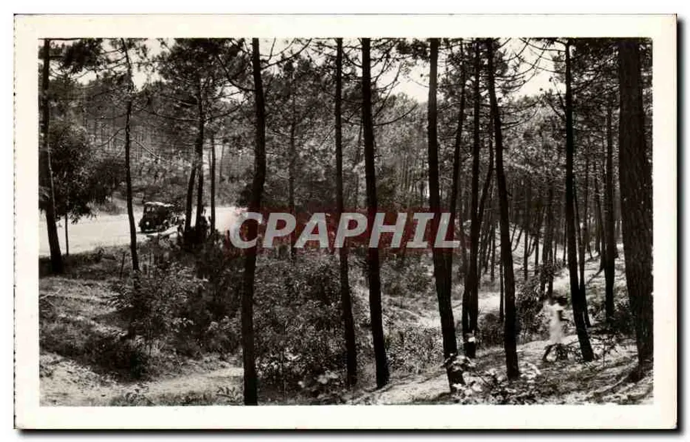 Saint-Jean-de-Monts (Vendée) — Ein schöner Waldabschnitt — E. Charlaire, Nr. 9 - Vorderseite