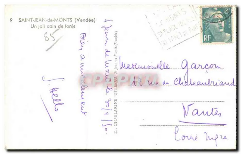 Saint-Jean-de-Monts (Vendée) — Ein schöner Waldabschnitt — E. Charlaire, Nr. 9 - Rückseite
