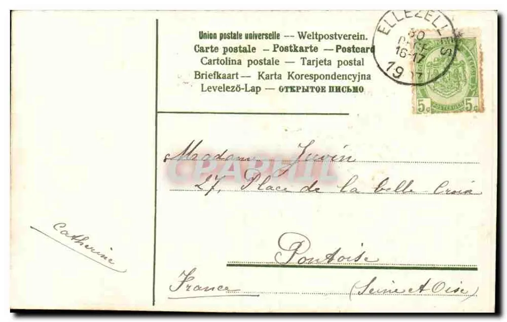 Büschel von Veilchen und Mägdelein in einem Korb — Aufrichtige Glückwünsche zum neuen Jahr — Ansichtskarte - Rückseite