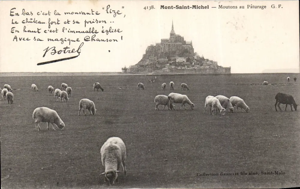 Mont-Saint-Michel — Schafe auf der Weide — G.F. — Sammlung Germain fils aîné, Saint-Malo - Vorderseite