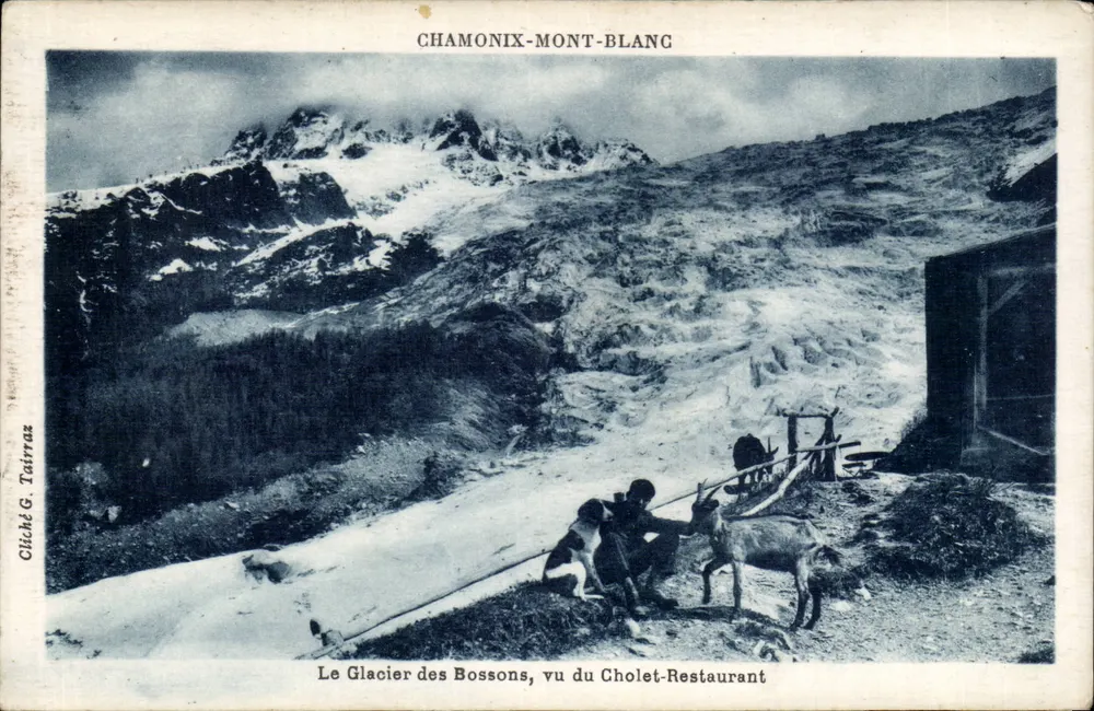 Der Bossons-Gletscher, gesehen vom Cholet-Restaurant — Chamonix-Mont-Blanc — Foto von G. Tairraz - Vorderseite