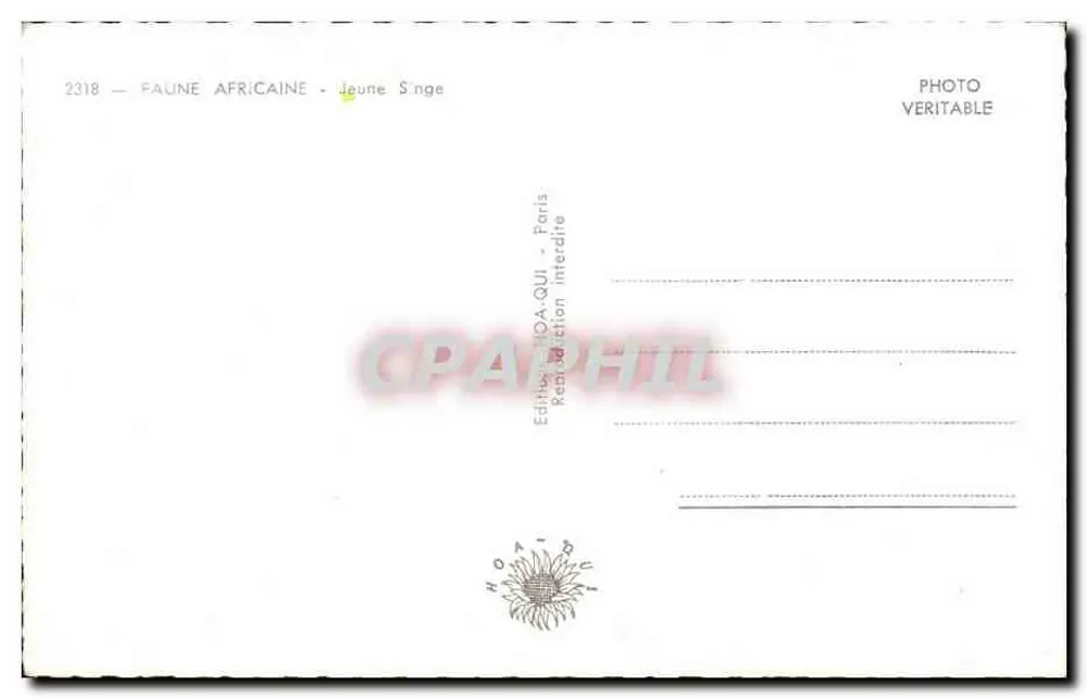 छोटा बंदर — अफ्रीकी जंगली जीव — संस्करण HOA.QUI, पेरिस, संख्या 2318 - पीछे