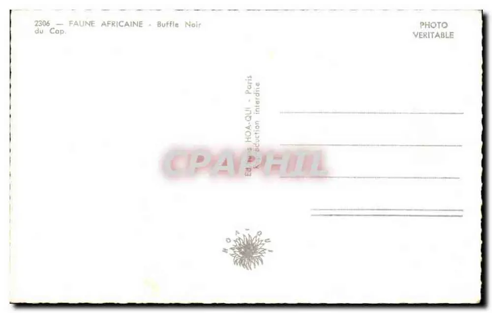 Búfalo Negro — África do Cabo — Edição HOA-QLI - Paris - Verso