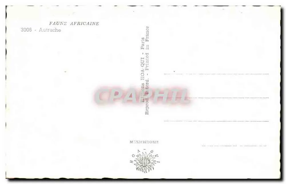 Straußenvogel — in einer afrikanischen Landschaft — Éditions HOA-QUI, Nr. 3006 - Rückseite