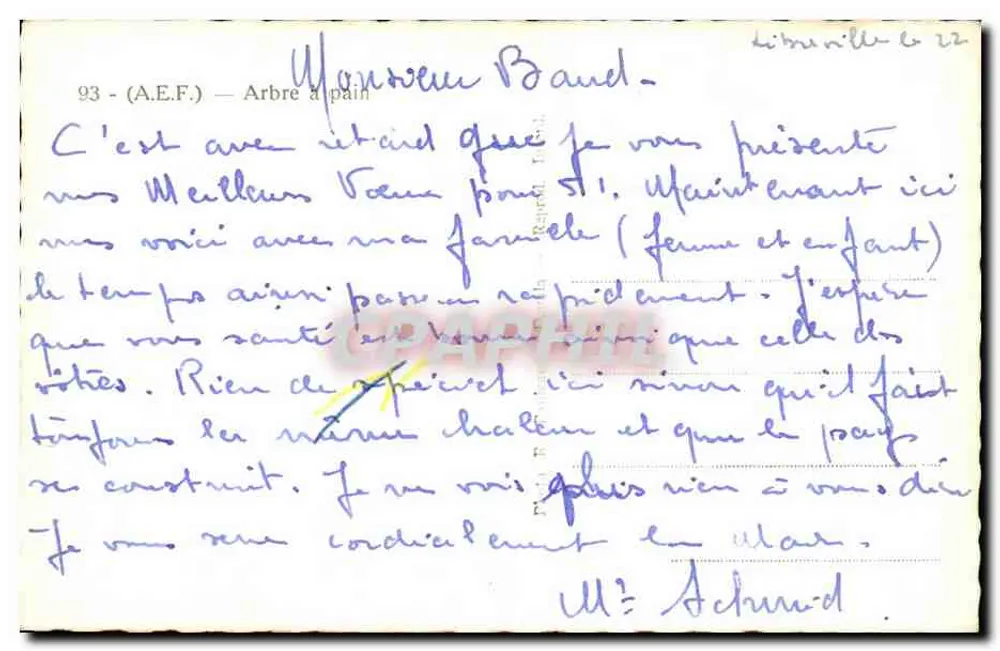 Brotbaum — Westafrika — Vintage Postcard/Antike Ansichtskarte n°93 - Rückseite