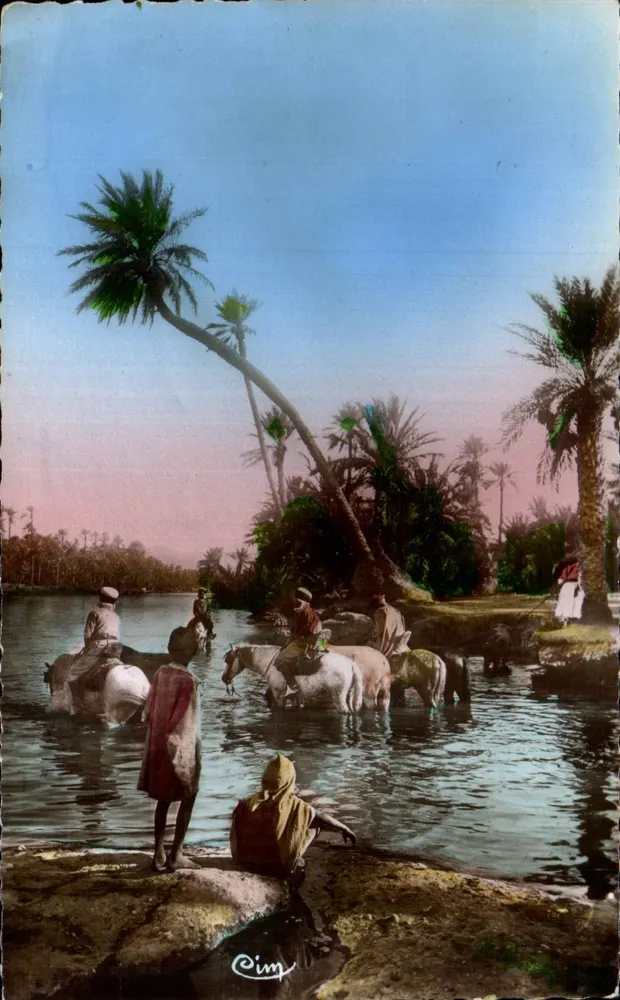 Flusslandschaft in Ägypten — Reiter und Palmen — Verlag Cim, n° 1185 - Vorderseite