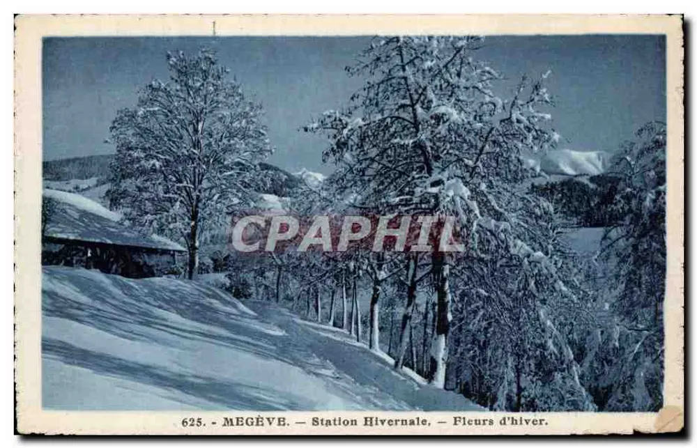 Megève — Winterstation — Winterblumen - Vorderseite