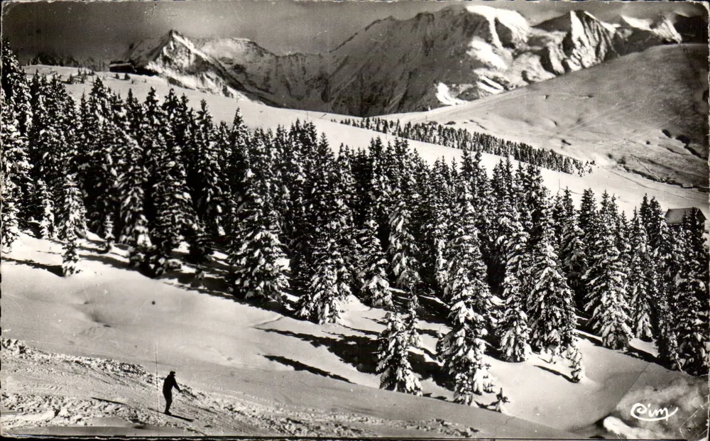 Megève (Haute-Savoie) — Tannen unter Schnee am Mont d'Arbois — Combière - Vorderseite