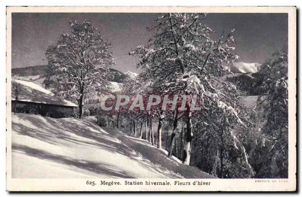 Megève. Wintersportort. Winterblüten — Edition Lisk, Nr. 625 - Vorderseite