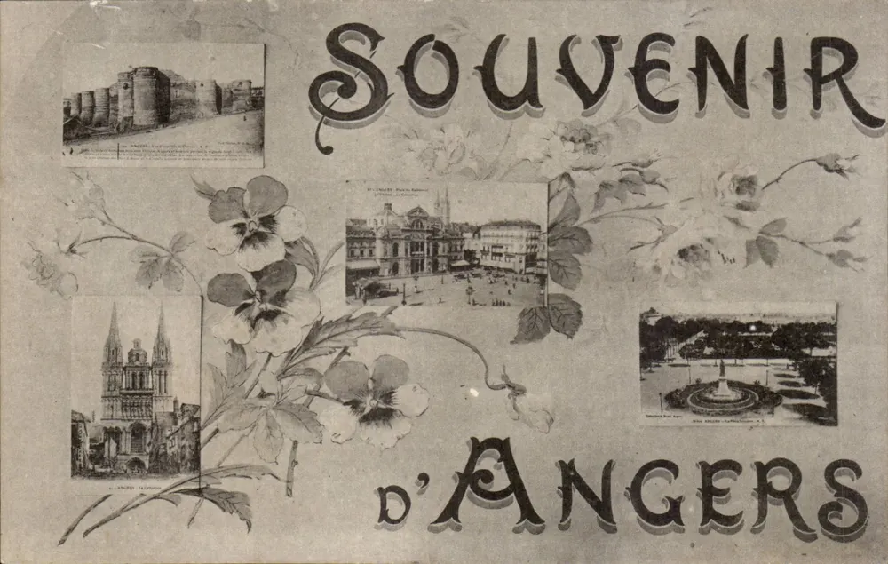 Souvenir de Angers — Carte postal ilustrada com 4 vistas locais — editor não visível - Frente